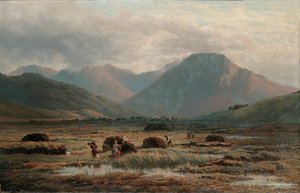 Peat Bog, Letterfrack, Connemara by Bartholomew Colles Watkins
