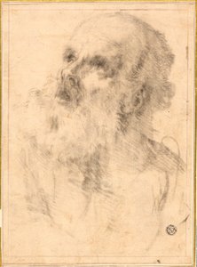 Head of an Old Man