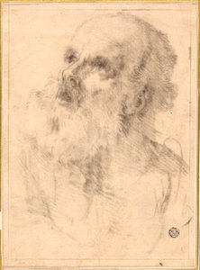 Head of an Old Man by Bartolomé Esteban Murillo