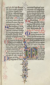 Missale: Fol. 260: Foliage with Fruit by Bartolomeo Caporali