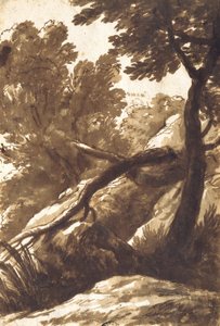 Wooded Landscape by Bartolomeo Torregiani