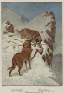 A Traveller, by the Faithful Hound