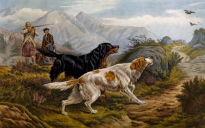 Grouse hunting