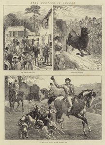 Stag Hunting in Surrey