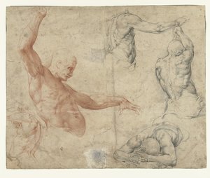 Nude Studies of a Man