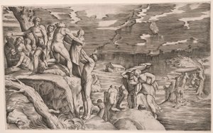 The Deluge