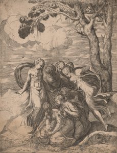 The Finding of Moses by Battista del Moro