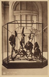 Gorilla Room by Belgian Photographer