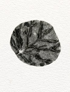 Leaf by Bella Larsson