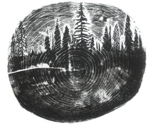 Two Woods, 2016 by Bella Larsson
