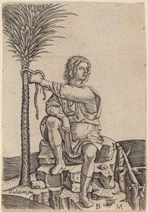 Man Seated by a Palm Tree by Benedetto Montagna