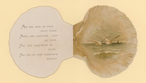 Illustration for Booklet Entitled Sea Shells by Benjamin D. Sigmund