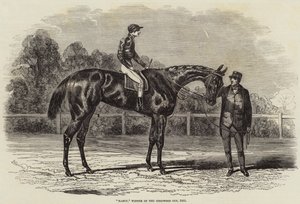 Nancy, Winner of the Goodwood Cup, 1851