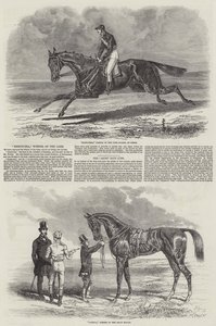 Winning Racehorses