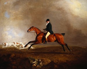 Thomas Mellish on his Hunter Saucebox by Benjamin Marshall