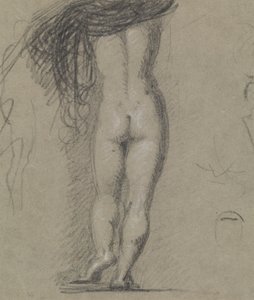 Rear View Study of a Nude Figure