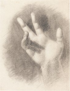Study of a Right Hand