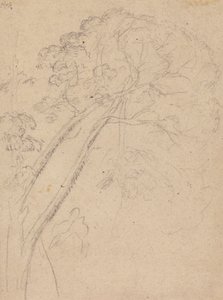 Costume Study for the Portrait of a Lady
