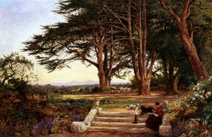 Reading on the Terrace Steps