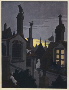 Cats on Rooftops at Night