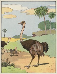 Ostrich by Benjamin Rabier
