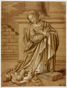Madonna and Child by Benvenuto Tisi da Garofalo