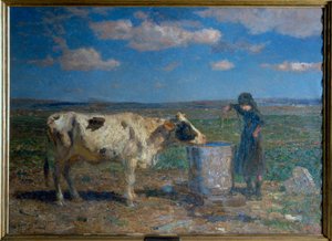 Midday on the High Plains