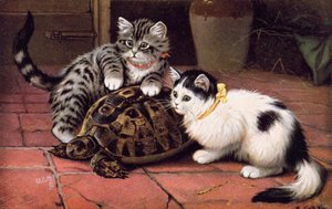 Cat Postcard