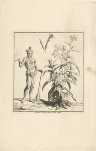 Tobacco Plant and Native American by Bernard Picart (workshop of)