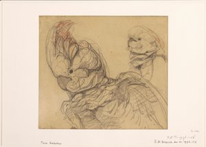 Two Cockatoos, Half-Length by Bernard Willem Wierink
