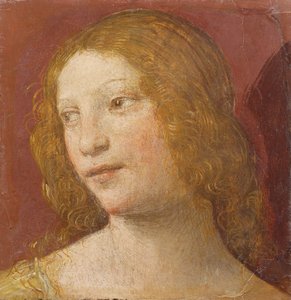 Head of a Young Woman