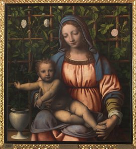Madonna and Child (Madonna del Roseto) by Bernardino Luini