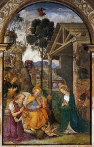 Nativity with St. Jerome, youthful fresco by Bernardino Betti known as Il Pinturicchio by Bernardino di Betto Pinturicchio