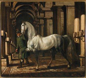 Stable Boy Leading a Horse by Bernardo Bellotto