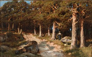 Woman in the Woods