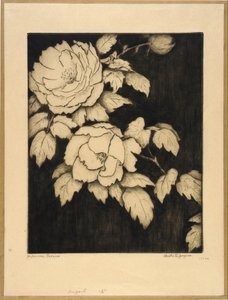 Japanese Peonies