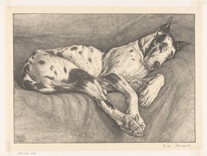 Sleeping Dog by Bertha van Hasselt (signed by artist)