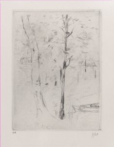 Landscape Tree-Trunks near a River