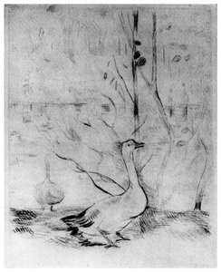 The Geese