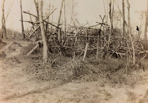 Album of the First World War in Friuli-Venezia Giulia: defensive obstacle (cavalli di Frisia), 05/1916 by Bertoni Bertoni