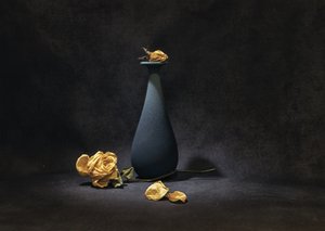 Melancholy Dried Roses
