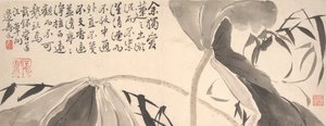 Lotus Leaves and Water Reeds