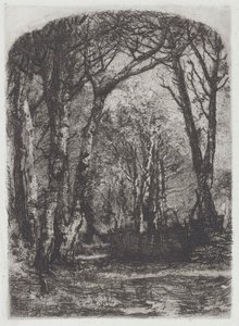 Woods by Bianchi Mose