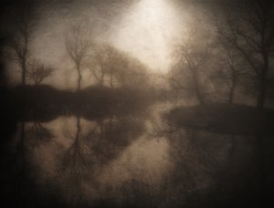 Misty Forest Reflection by Bill Eiffert