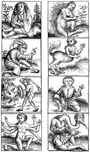 Beliefs and Popular Superstitions by Bisson and Cottard
