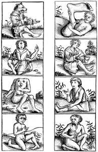 Beliefs and Popular Superstitions, 1493 1849 by Bisson and Cottard