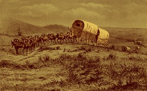 Wild West - mule-train heading west