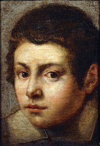 The Head of a Young Boy