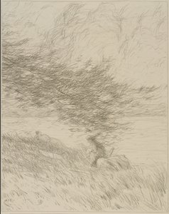 The Pine Bough by Bolton Brown