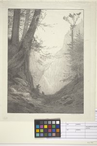 Big Cedars by Bolton Coit Brown